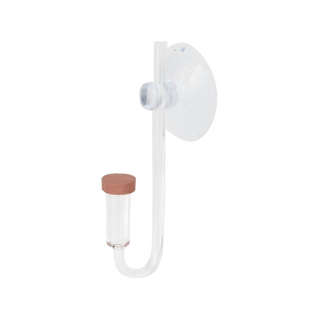 Akrylowy Mini Akwarium Rośliny – Aquarium Plant No Co2 recenzja i cena