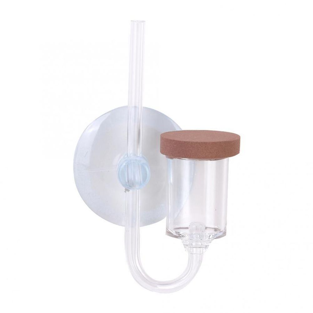 Akrylowy Mini Akwarium Rośliny – Aquarium Plant No Co2 recenzja i cena