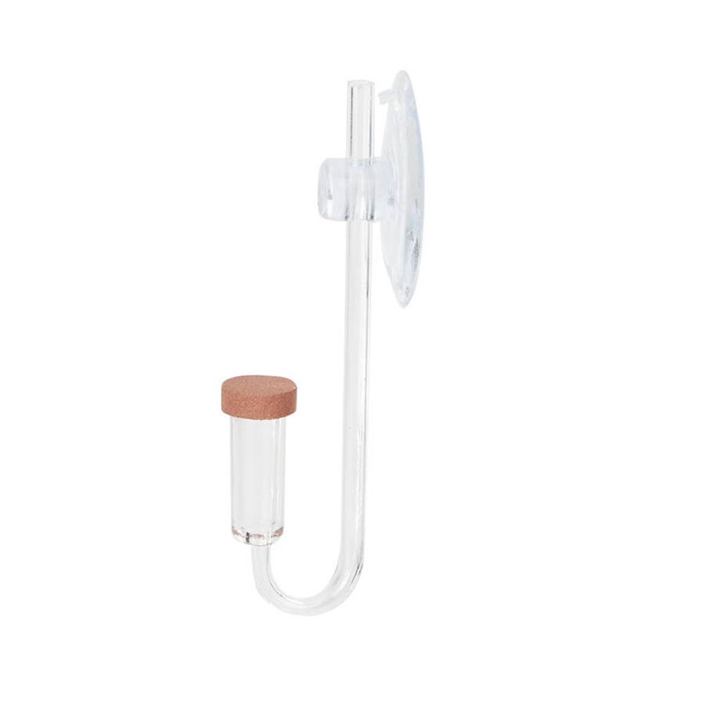 Akrylowy Mini Akwarium Rośliny – Aquarium Plant No Co2 recenzja i cena