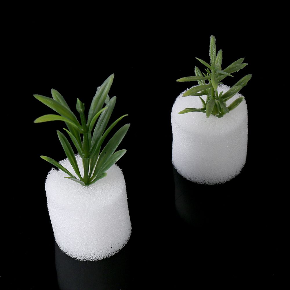 10/50 szt. Wytrzymałe tacki do – Aquarium Plant Seeds recenzja i cena