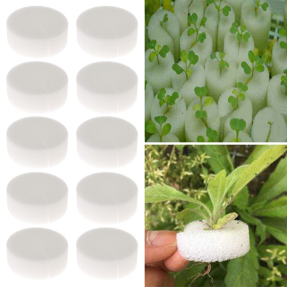 10/50 szt. Wytrzymałe tacki do – Aquarium Plant Seeds recenzja i cena