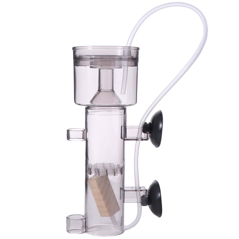 Przyssawkowy separator białek  – Aquarium Lily Pipe recenzja i cena