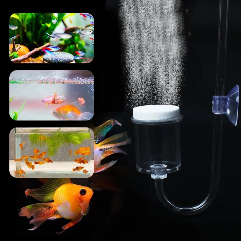 4szt Zestaw DIY Dyfuzor CO2 do – Planted Aquarium Media recenzja i cena