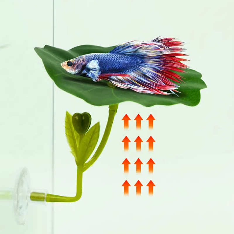 1 szt. Dekoracja do akwarium d – Planted Aquarium Betta recenzja i cena